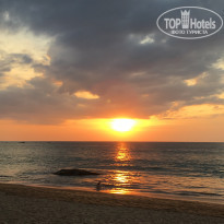 фото из отзыва ID 2104438