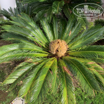 фото из отзыва ID 2104460