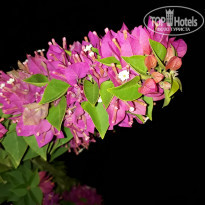 фото из отзыва ID 2104485