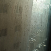 фото из отзыва ID 2104498