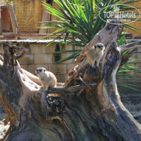 фото из отзыва ID 2104514