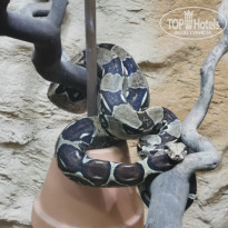 фото из отзыва ID 2104514