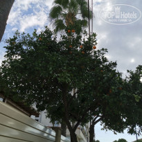 фото из отзыва ID 2104514