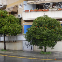 фото из отзыва ID 2104514