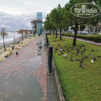 фото из отзыва ID 2104514