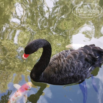 фото из отзыва ID 2104514