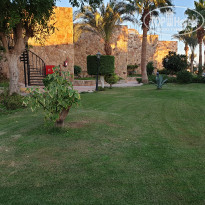 фото из отзыва ID 2104526