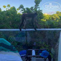 фото из отзыва ID 2104563