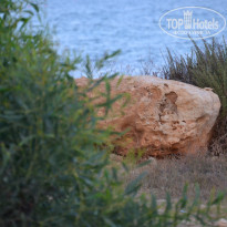 фото из отзыва ID 2104565