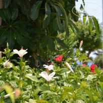 фото из отзыва ID 2104565