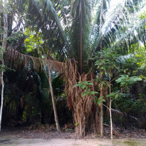 фото из отзыва ID 2101097