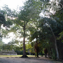 фото из отзыва ID 2101097