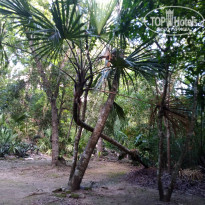 фото из отзыва ID 2101097