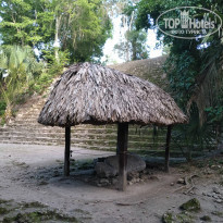 фото из отзыва ID 2101097