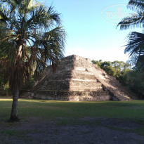 фото из отзыва ID 2101097