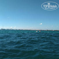 фото из отзыва ID 2101097