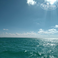 фото из отзыва ID 2101097