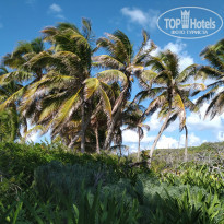 фото из отзыва ID 2101097