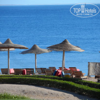 фото из отзыва ID 2104592