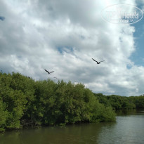 фото из отзыва ID 2101097