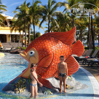 фото из отзыва ID 2103619