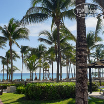 фото из отзыва ID 2103619