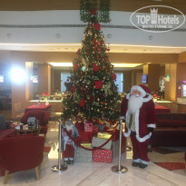 фото из отзыва ID 2104649