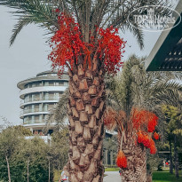 фото из отзыва ID 2104662