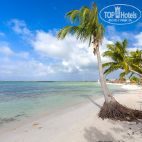 фото из отзыва ID 2104766