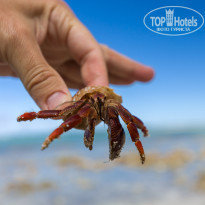 фото из отзыва ID 2104766