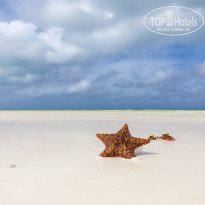 фото из отзыва ID 2104766