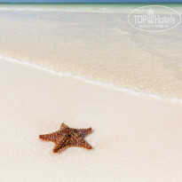 фото из отзыва ID 2104766