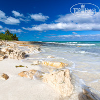 фото из отзыва ID 2104766