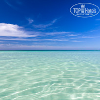 фото из отзыва ID 2104766