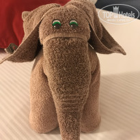 фото из отзыва ID 2104883