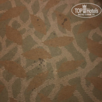 фото из отзыва ID 2104888