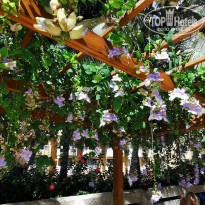 фото из отзыва ID 2104877