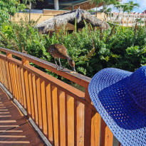 фото из отзыва ID 2104877