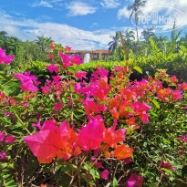 фото из отзыва ID 2104877