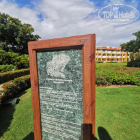 фото из отзыва ID 2104877