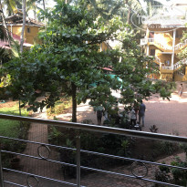 фото из отзыва ID 2104913