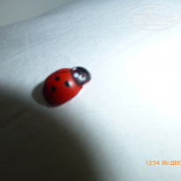 фото из отзыва ID 2104916