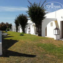 фото из отзыва ID 2104961