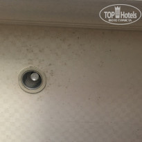 фото из отзыва ID 2104993