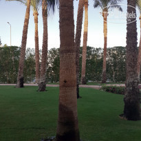 фото из отзыва ID 2104989