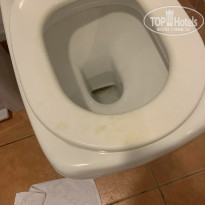 фото из отзыва ID 2105006