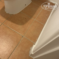 фото из отзыва ID 2105006