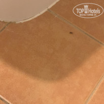 фото из отзыва ID 2105006