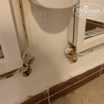 фото из отзыва ID 2105006