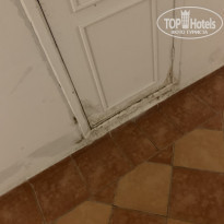 фото из отзыва ID 2105006